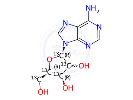 Chemical structure of Adenosine-1',2',3',4',5'-13C5