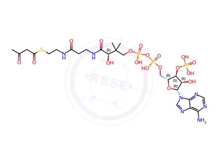 Chemical structure of Coenzyme A Impurity 2 (S-Acetoacetate Coenzyme A)(Acetoacetyl-CoA)