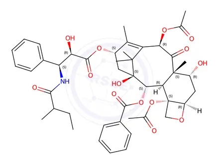 Chemical structure of Benzenepropanoic acid, alpha-hydroxy-beta-((2-methyl-1-oxobutyl)amino)-, (2aR,4R,4aS,6R,9S,11S,12S,12aR,12bS)-6,12b-bis(acetyloxy)-12-(benzoyloxy)-2a,3,4,4a,5,6,9,10,11,12,12a,12b-
