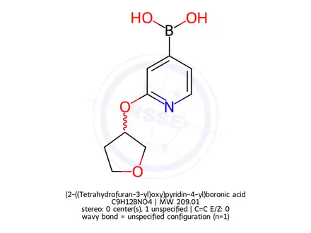 Chemical structure of (2-((Tetrahydrofuran-3-yl)oxy)pyridin-4-yl)boronic acid