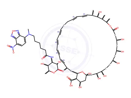Chemical structure of Nbd-Nystatin