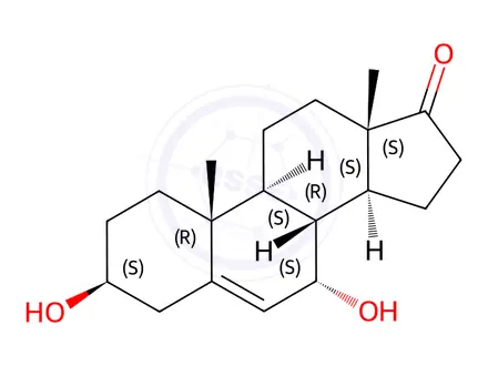 Chemical structure of 7α-Hydroxy-DHEA