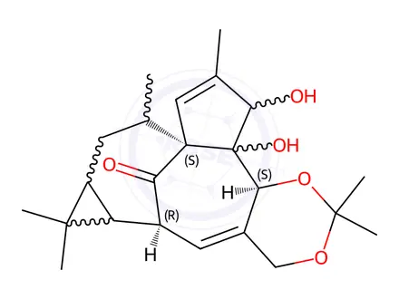 Chemical structure of Ingenol Impurity 2