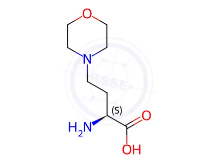 Chemical structure of (S)-2-amino-4-morpholinobutanoic acid