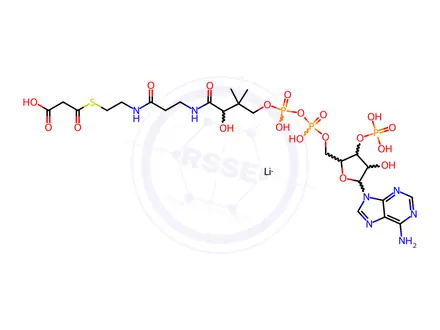 Chemical structure of Malonyl coenzyme A lithium salt