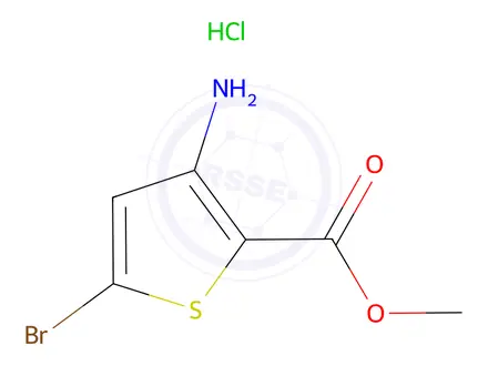 Chemical structure of 3-AMino-5-bromo-thiophene-2-carboxylic acid methyl ester HCl