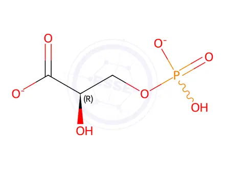 Chemical structure of Lecithin Impurity 58
