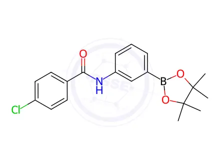 Chemical structure of 4-Chloro-N-(3-(4,4,5,5-tetramethyl-1,3,2-dioxaborolan-2-yl)phenyl)benzamide