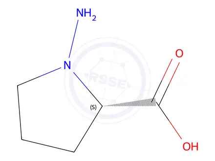 Chemical structure of (S)-1-Aminopyrrolidine-2-carboxylic acid