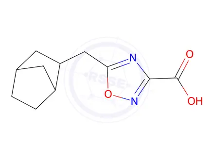 Chemical structure of 5-(Bicyclo[2.2.1]heptan-2-ylmethyl)-1,2,4-oxadiazole-3-carboxylic acid