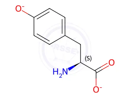 Chemical structure of L-Tyrosine disodium salt