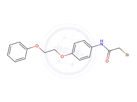 Chemical structure of 2-Bromo-N-[4-(2-phenoxyethoxy)phenyl]acetamide