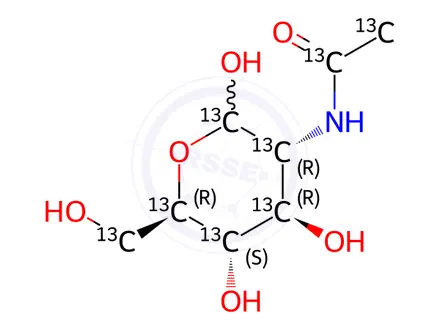 Chemical structure of N-[1,2-13C2]acetyl-D-[UL-13C6]glucosamine