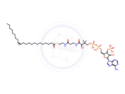 Chemical structure of Coenzyme A Impurity 31