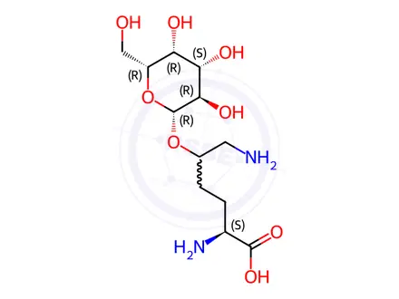 Chemical structure of (2S)-2,6-Diamino-5-(((2R,3R,4S,5R,6R)-3,4,5-trihydroxy-6-(hydroxymethyl)tetrahydro-2H-pyran-2-yl)oxy)hexanoic acid