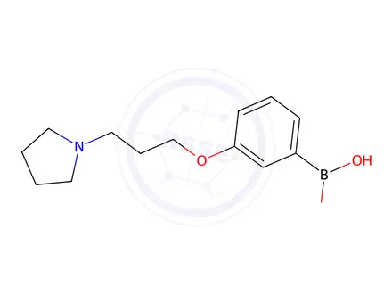 Chemical structure of (3-(3-(Pyrrolidin-1-yl)propoxy)phenyl)boronic acid