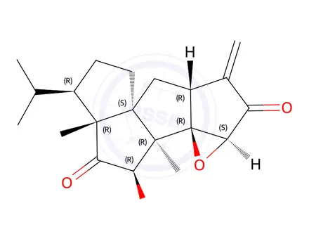 Chemical structure of CAS 97294-61-6 reference standard