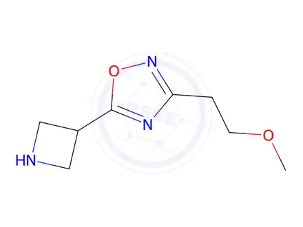 Chemical structure of 2-[5-(3-azetanyl)-1,2,4-oxadiazol-3-yl]ethyl methyl ether,HCl