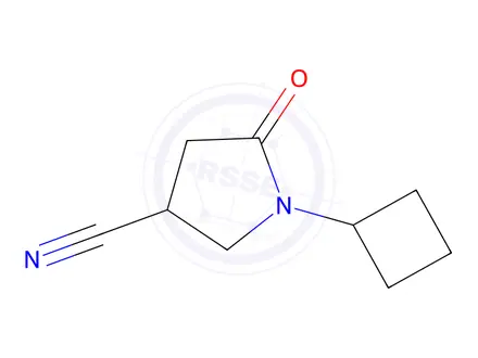 Chemical structure of 1-cyclobutyl-5-oxopyrrolidine-3-carbonitrile