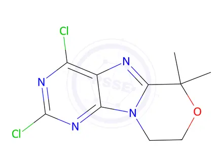 Chemical structure of 2,4-Dichloro-6,6-dimethyl-8,9-dihydro-6H-[1,4]oxazino[4,3-e]purine