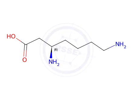 Chemical structure of (R)-3,7-diaminoheptanoic acid