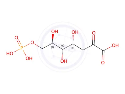 Chemical structure of Vitamin C Impurity 20