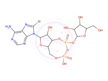 Chemical structure of 8-Bromo-cADP-Ribose (8-Br-cADPR)
