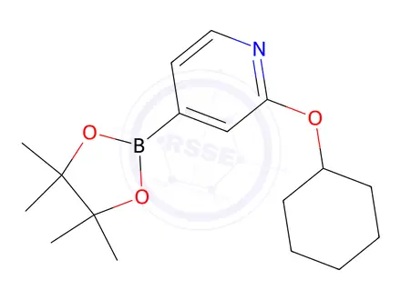 Chemical structure of 2-(cyclohexyloxy)-4-(4,4,5,5-tetramethyl-1,3,2-dioxaborolan-2-yl)pyridine