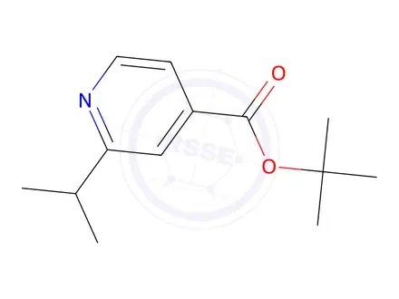 Chemical structure of tert-Butyl 2-isopropylisonicotinate