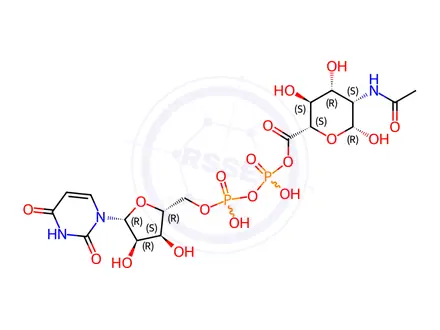 Chemical structure of uridine diphosphate N-acetyl-D-mannosaminuronic acid