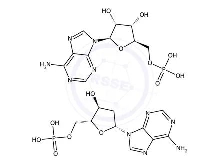 Chemical structure of Poly(A)-poly(dA)