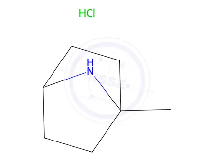 Chemical structure of 1-METHYL-7-AZABICYCLO[2.2.1]HEPTANE HYDROCHLORIDE
