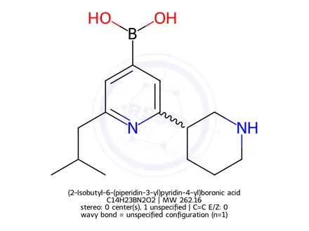 Chemical structure of (2-Isobutyl-6-(piperidin-3-yl)pyridin-4-yl)boronic acid