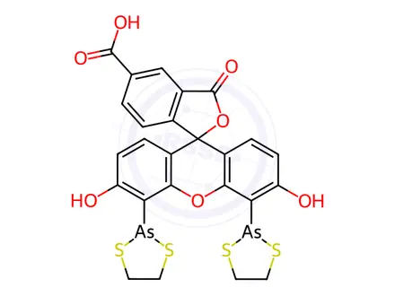 Chemical structure of 4',5'-Bis(1,3,2-dithiarsolan-2-yl)-3',6'-dihydroxy-3-oxospiro[isobenzofuran-1(3H),9'-[9H]xanthene]-5-carboxylic Acid