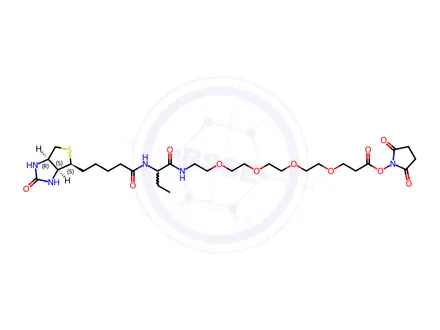 Chemical structure of NHS-PEG4-biotinidase resistant biotin