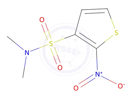 Chemical structure of n,n-Dimethyl-2-nitrothiophene-3-sulfonamide