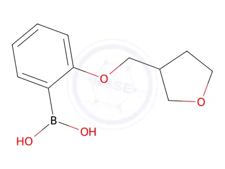 Chemical structure of [2-(oxolan-3-ylmethoxy)phenyl]boronic acid