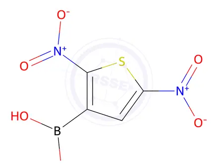 Chemical structure of 2,5-Dinitrothiophene-3-boronic acid