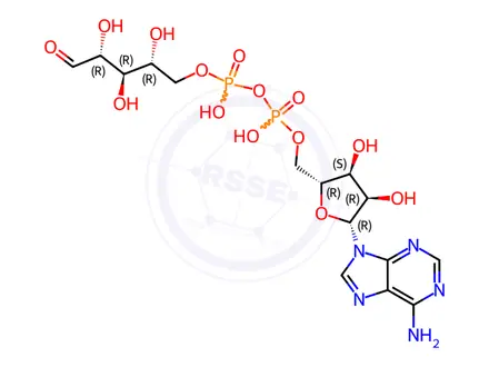 Chemical structure of Adenosine 5′-diphosphoribose