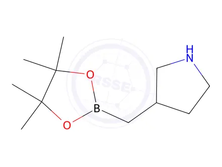 Chemical structure of 3-((4,4,5,5-Tetramethyl-1,3,2-dioxaborolan-2-yl)methyl)pyrrolidine