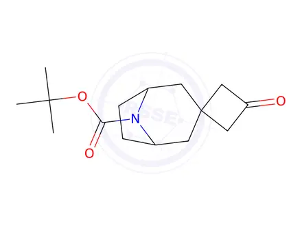 Chemical structure of Tert-butyl 3'-oxo-8-azaspiro[bicyclo[3.2.1]Octane-3,1'-cyclobutane]-8-carboxylate