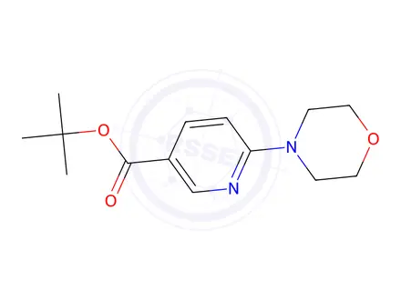 Chemical structure of Tert-butyl 6-morpholinonicotinate