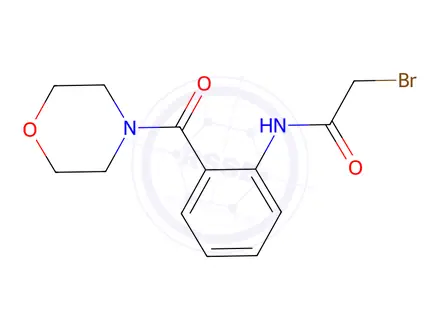 Chemical structure of 2-Bromo-N-[2-(4-morpholinylcarbonyl)phenyl]-acetamide