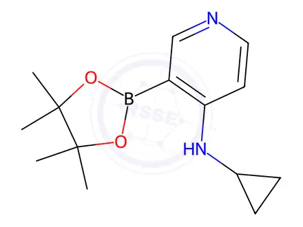 Chemical structure of N-Cyclopropyl-3-(4,4,5,5-tetramethyl-1,3,2-dioxaborolan-2-yl)pyridin-4-amine