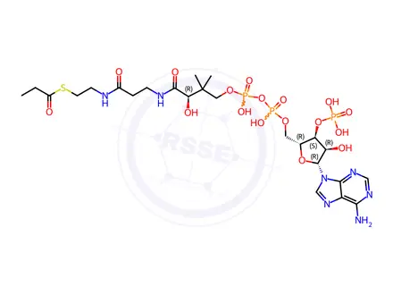 Chemical structure of S-propionylcoenzyme A