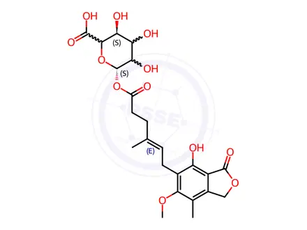 Chemical structure of Mycophenolic Acid Acyl Glucuronide