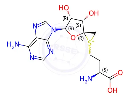 Chemical structure of Benzenesulfonic acid, hydroxymethyl-, reaction products with formaldehyde, sodium salts