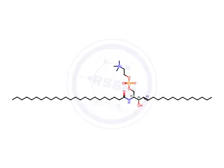 Chemical structure of 24:0 SM