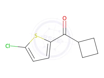 Chemical structure of (5-chlorothiophen-2-yl)(cyclobutyl)methanone