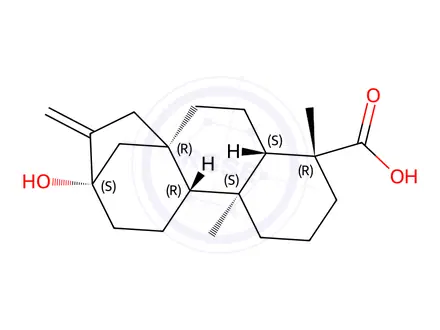 Chemical structure of Steviol